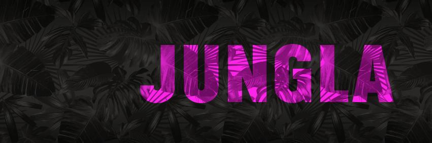 JunglaAd's profile banner image