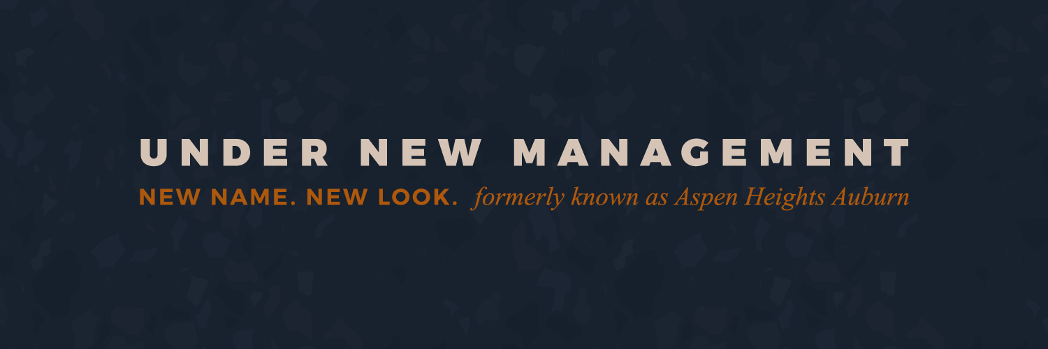 collectiveaub's profile banner image