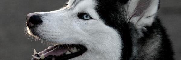 awnm's profile banner image