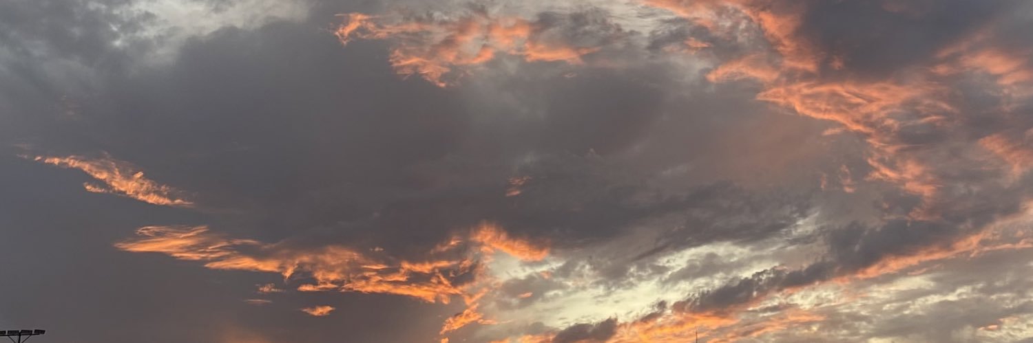marymarFD's profile banner image