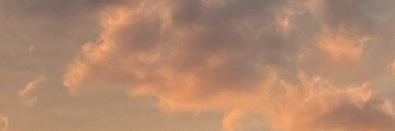 SusanNooijen's profile banner image