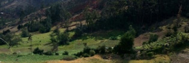 Maju De La De la cru. banner