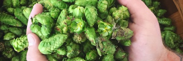 PortJeffBrewing Profile Banner