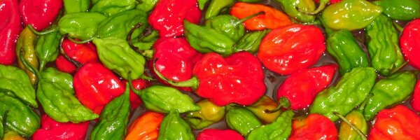 EurekaHouse Profile Banner