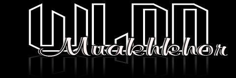 wildani_em's profile banner image