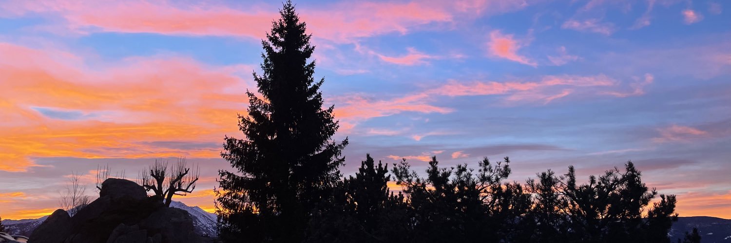 Roser Tarragó banner