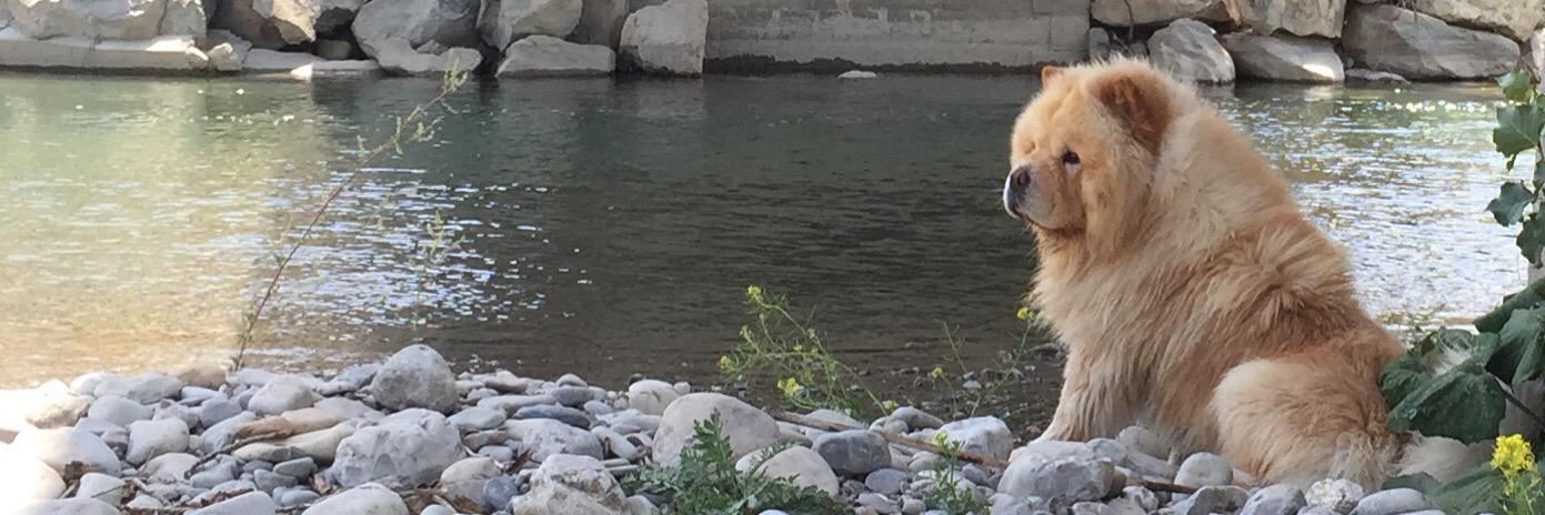 Roukyz23's profile banner image