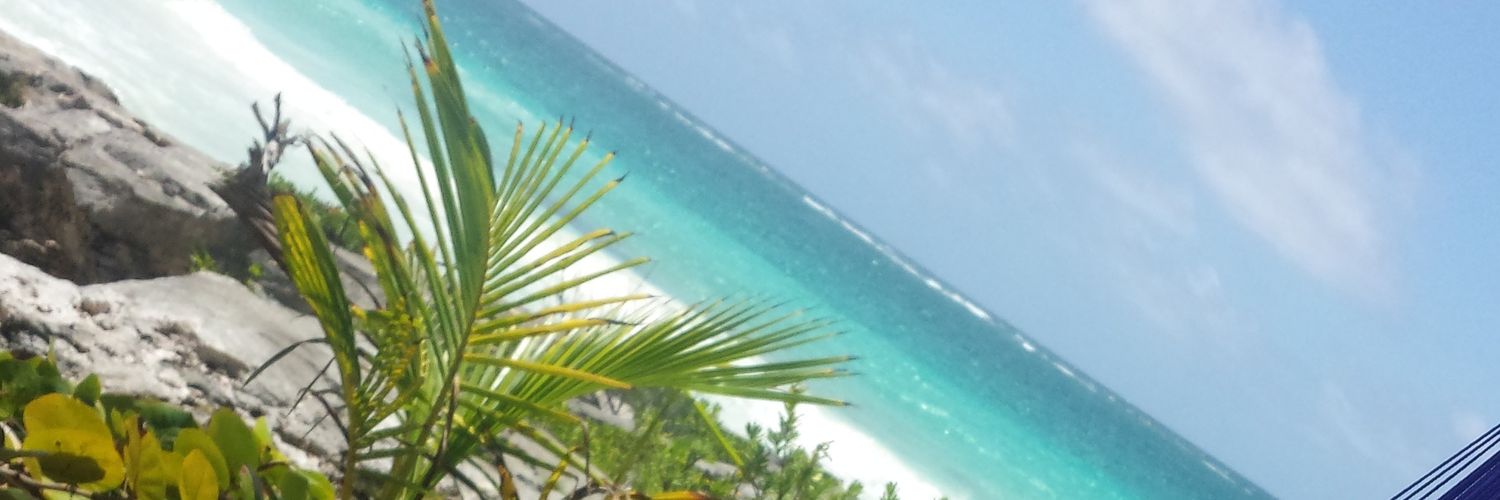 Abou007Sam's profile banner image