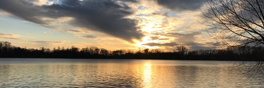WernerHartung's profile banner image