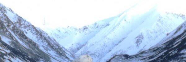 djavaid's profile banner image