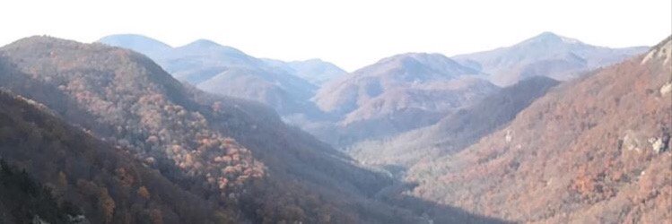 bakermadeline's profile banner image