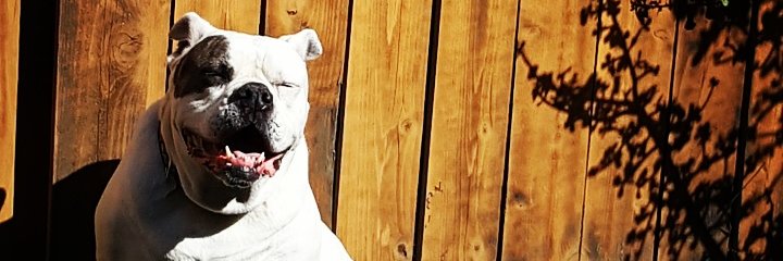 AlfredE619's profile banner image