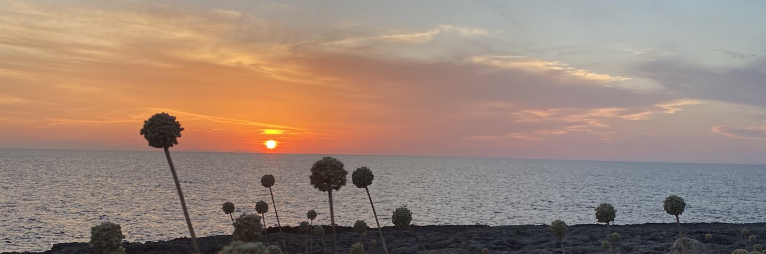 AnaMAG23's profile banner image