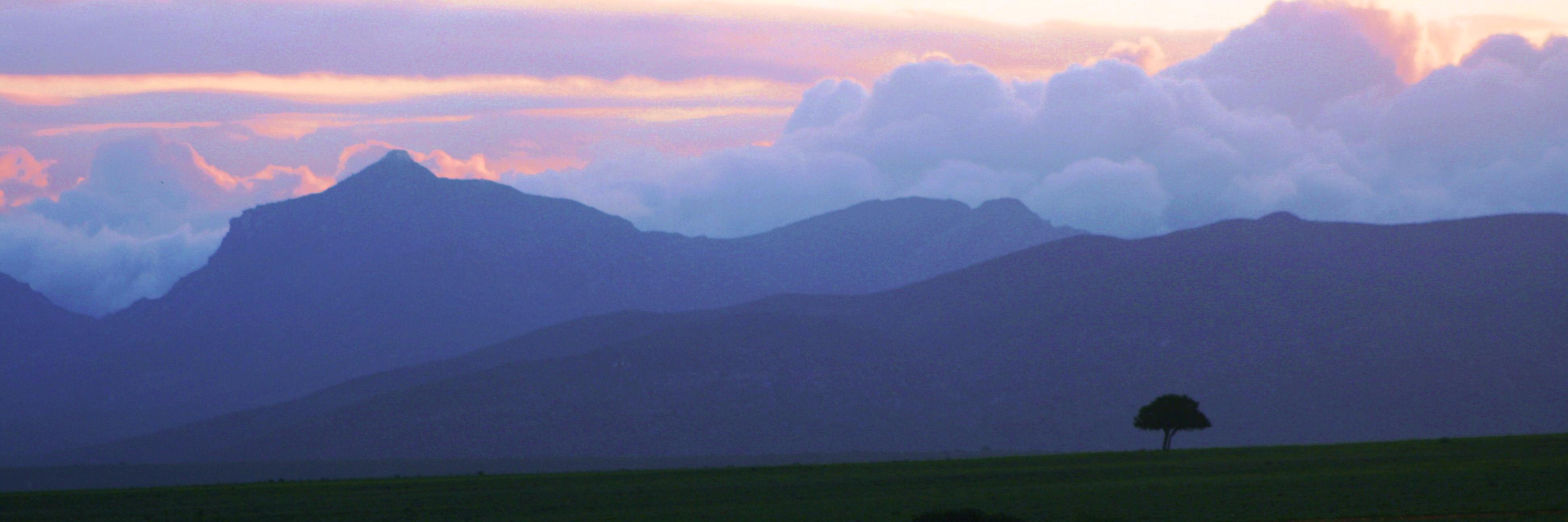 johnagallo's profile banner image