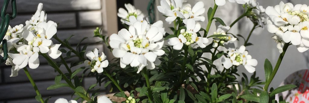 happyharu32's profile banner image