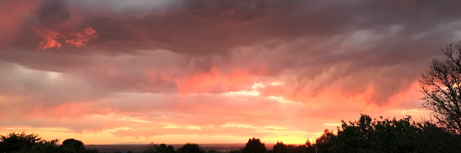 Mitch Bolander banner