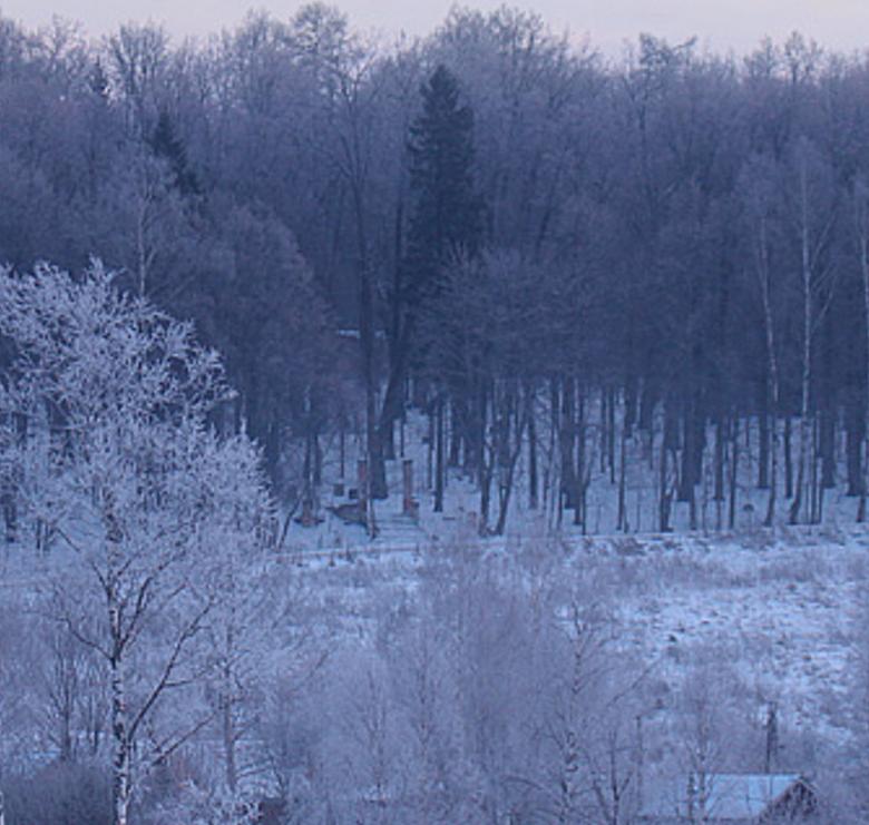 odearman's profile banner image