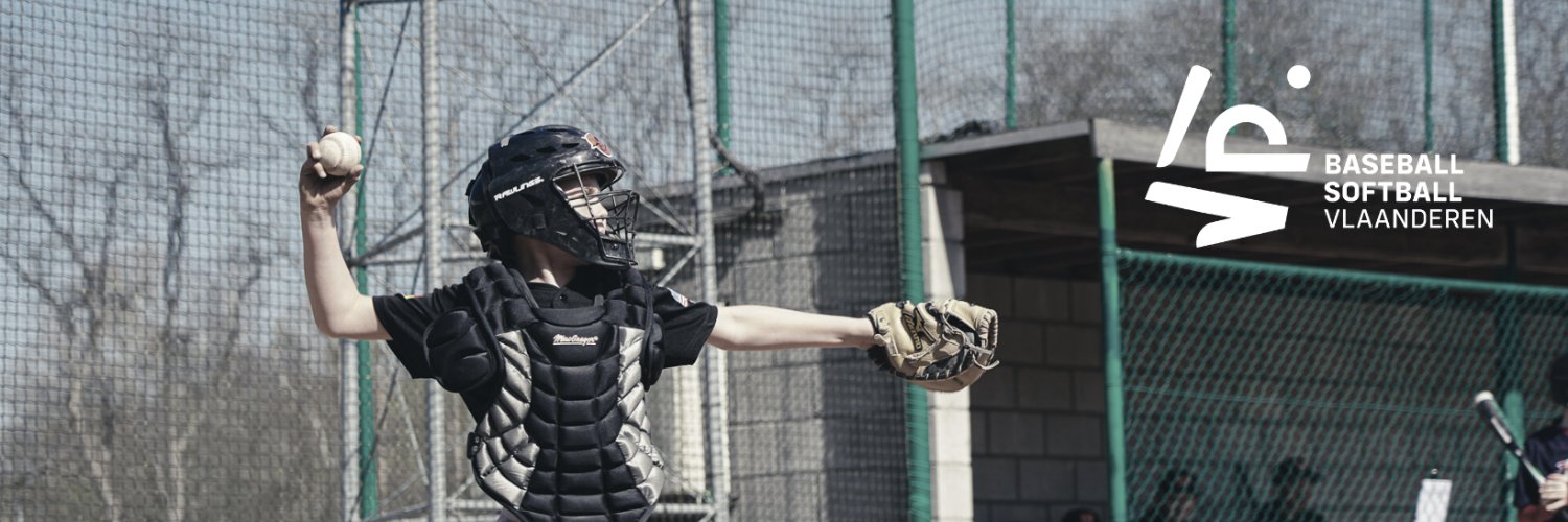 BaseSoftballVla's profile banner image