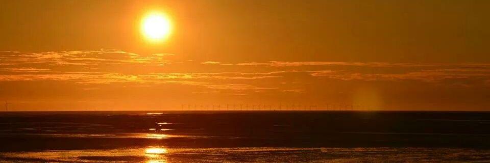 HayleyLMars's profile banner image