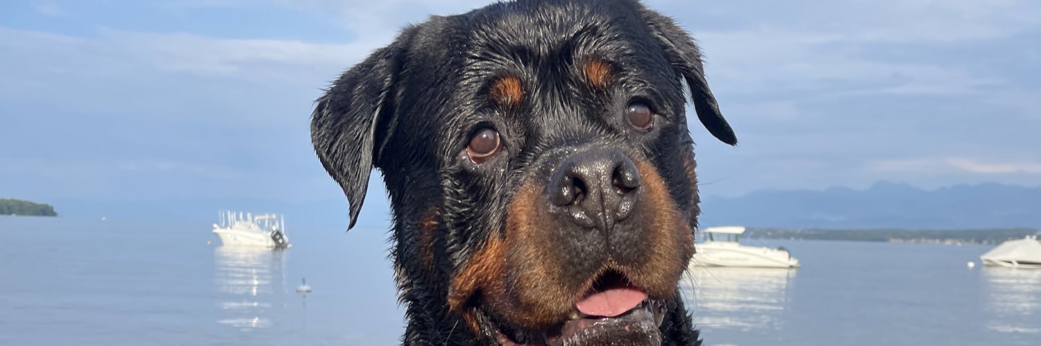Crazy_Cloe2's profile banner image