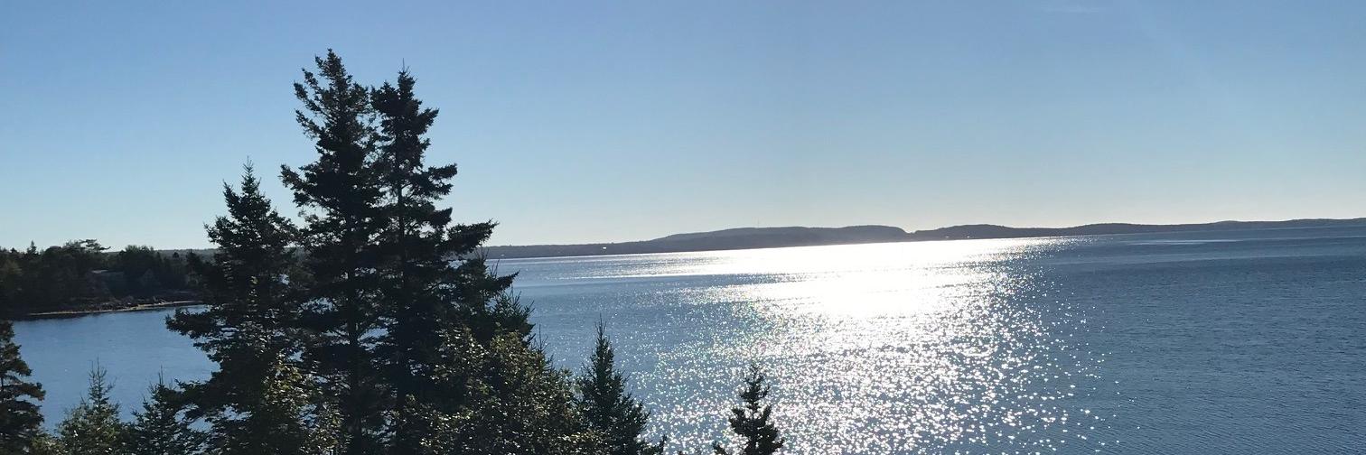 LGodsoe's profile banner image
