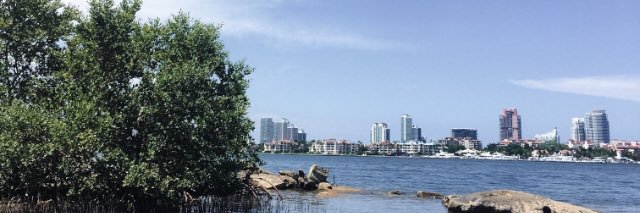 Clemency White 🦈 banner