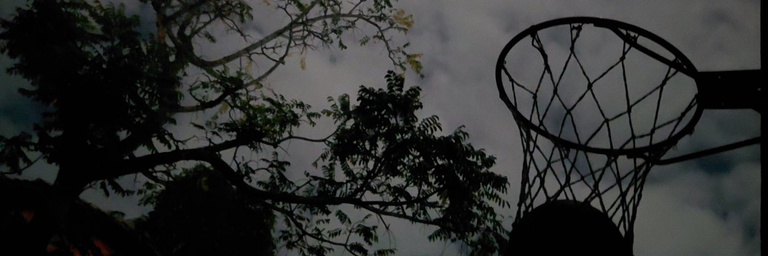 Triploskull's profile banner image