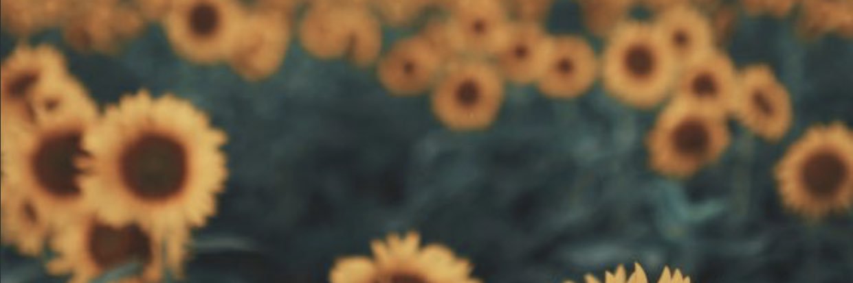 KottmannJessica's profile banner image