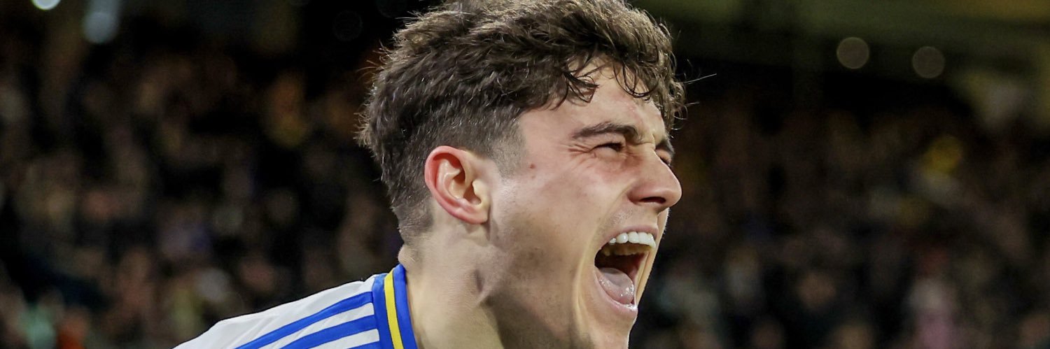 Chris Bradley banner