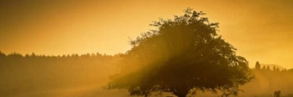 archananithruv Profile Banner