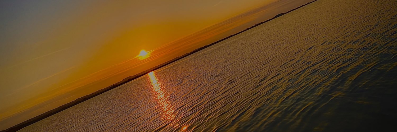 Rawbonesaskia's profile banner image