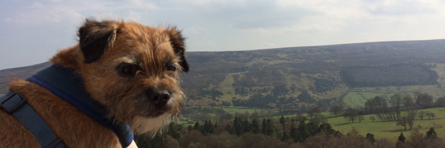 Professor Clare Bambra banner