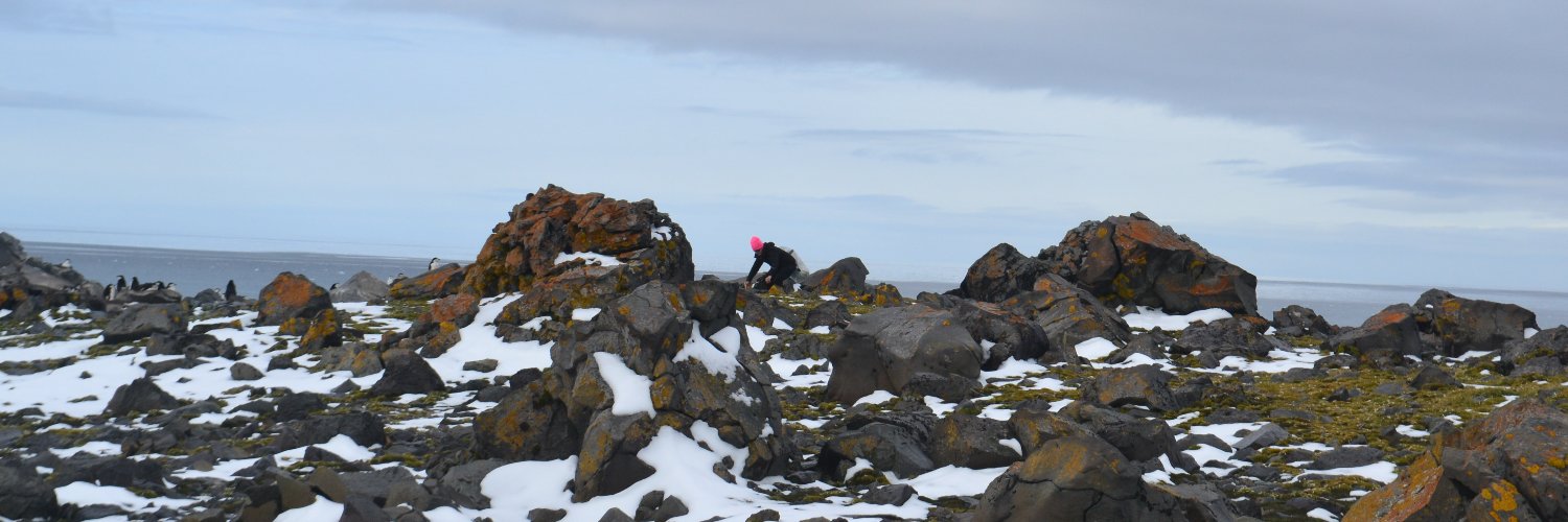 annaznoj's profile banner image