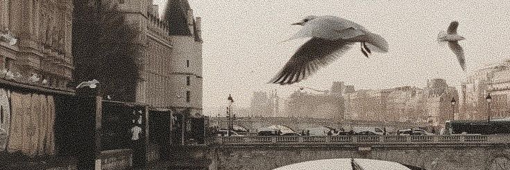 trovns's profile banner image