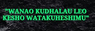 dmazabe's profile banner image