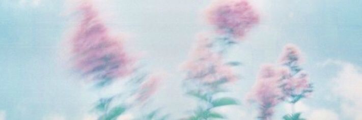 unishirezone's profile banner image