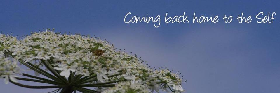 SoulspaceWales's profile banner image