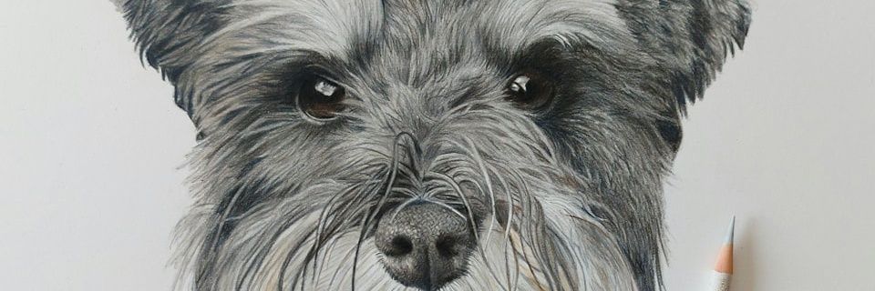 Sue Hewson Artist's banner