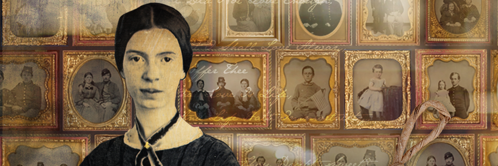 DickinsonDoc's profile banner image