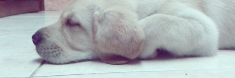 ali_vb's profile banner image
