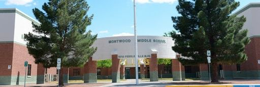 Desiree Theriot Nava banner