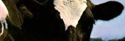 davidceron02's profile banner image