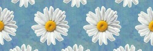 TaraBreyer's profile banner image
