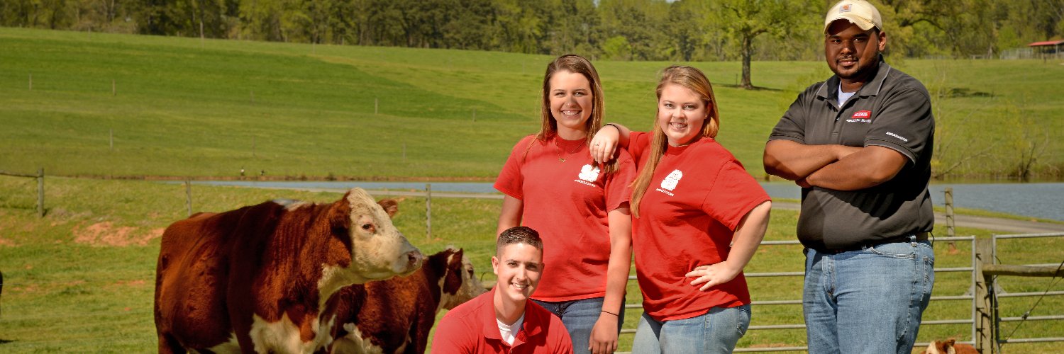 Agricultural Institute banner