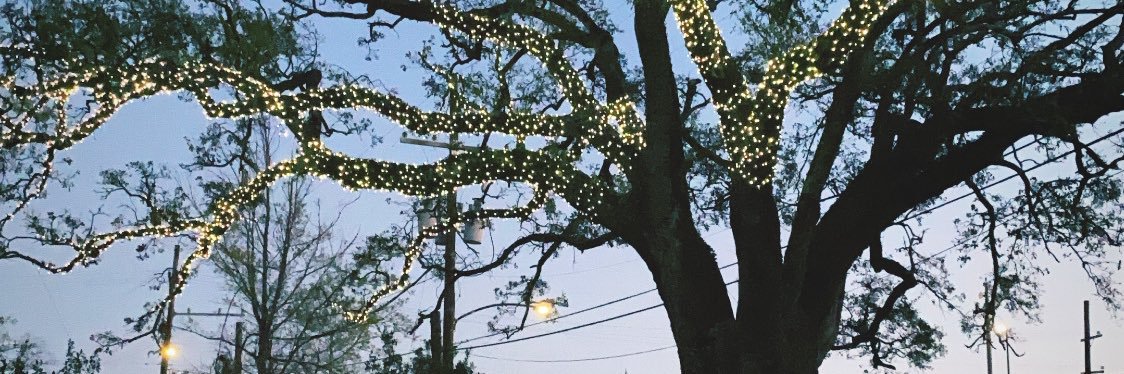 piperbuggg's profile banner image