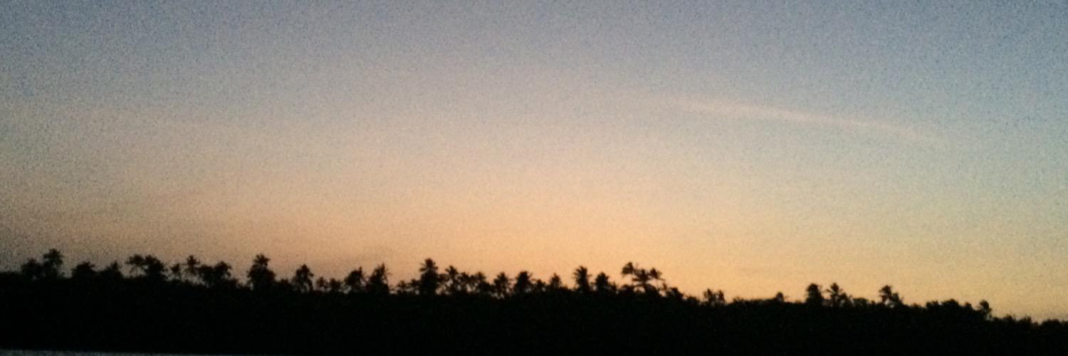 india_henline's profile banner image