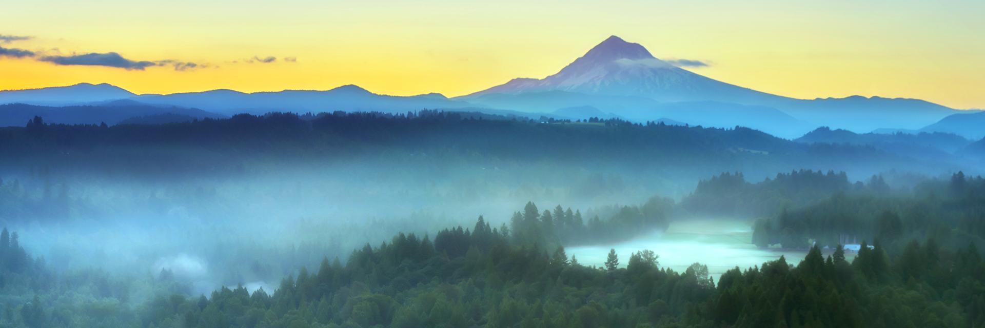 DJ_Dev1 🇺🇸 banner