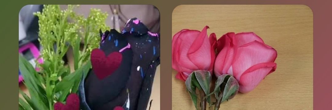 Amelfy_'s profile banner image