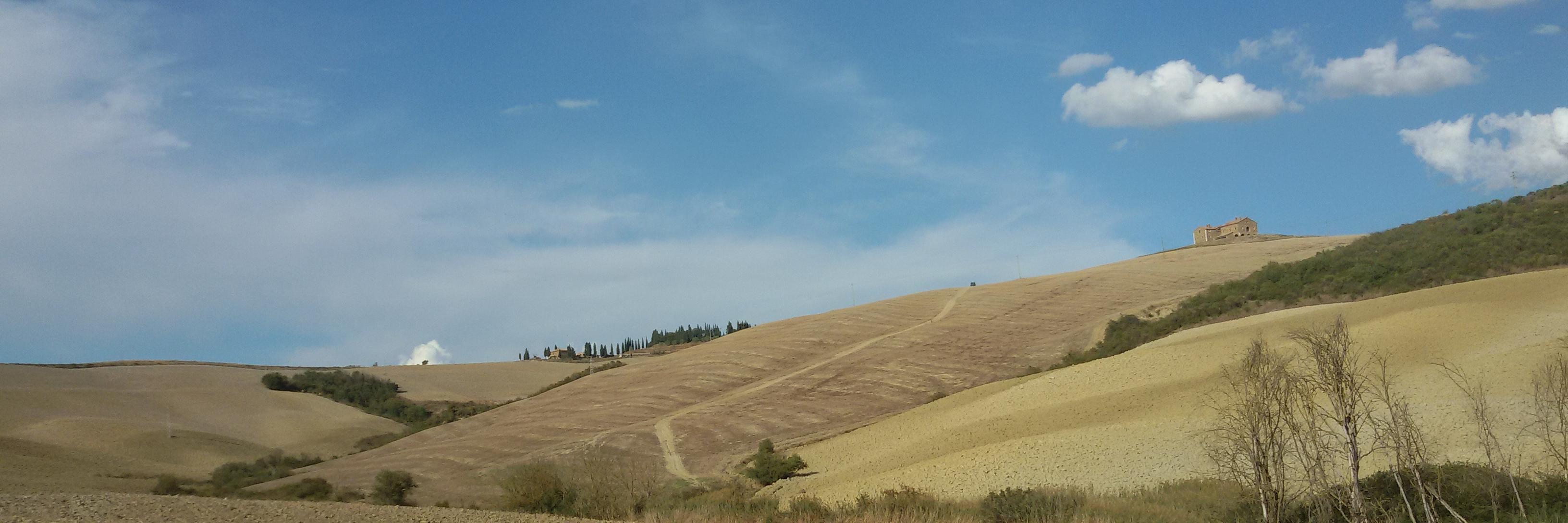 lalbertini's profile banner image