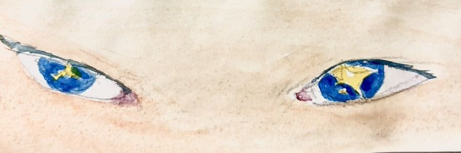 _lunaroi's profile banner image